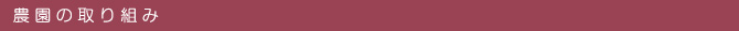農園の取り組み